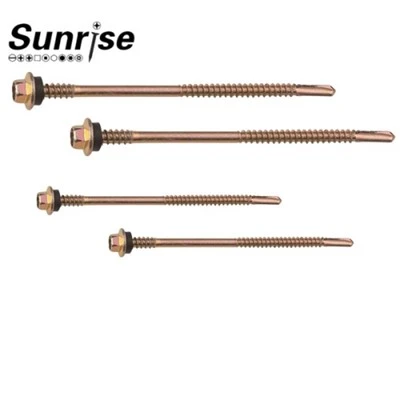 Hex Washer Head Self perçage vis ak de pati fil
